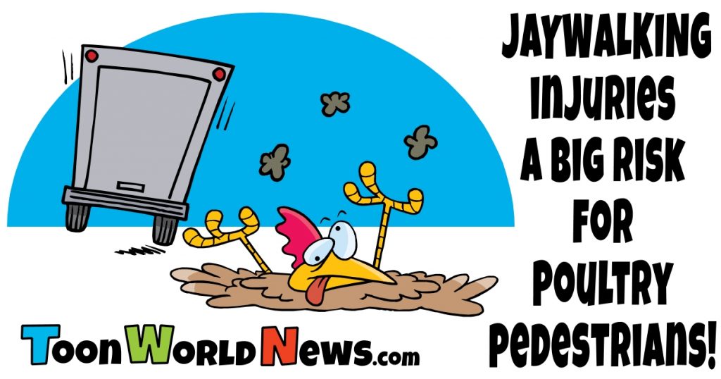 Jaywalking Injuries a Big Risk for Poultry Pedestrians!